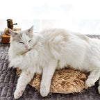 Pet Thermostatic Waterproof Electric Blanket