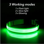 LED Adjustable Dog Collar Blinking Flashing Light Up Glow Pets Safety