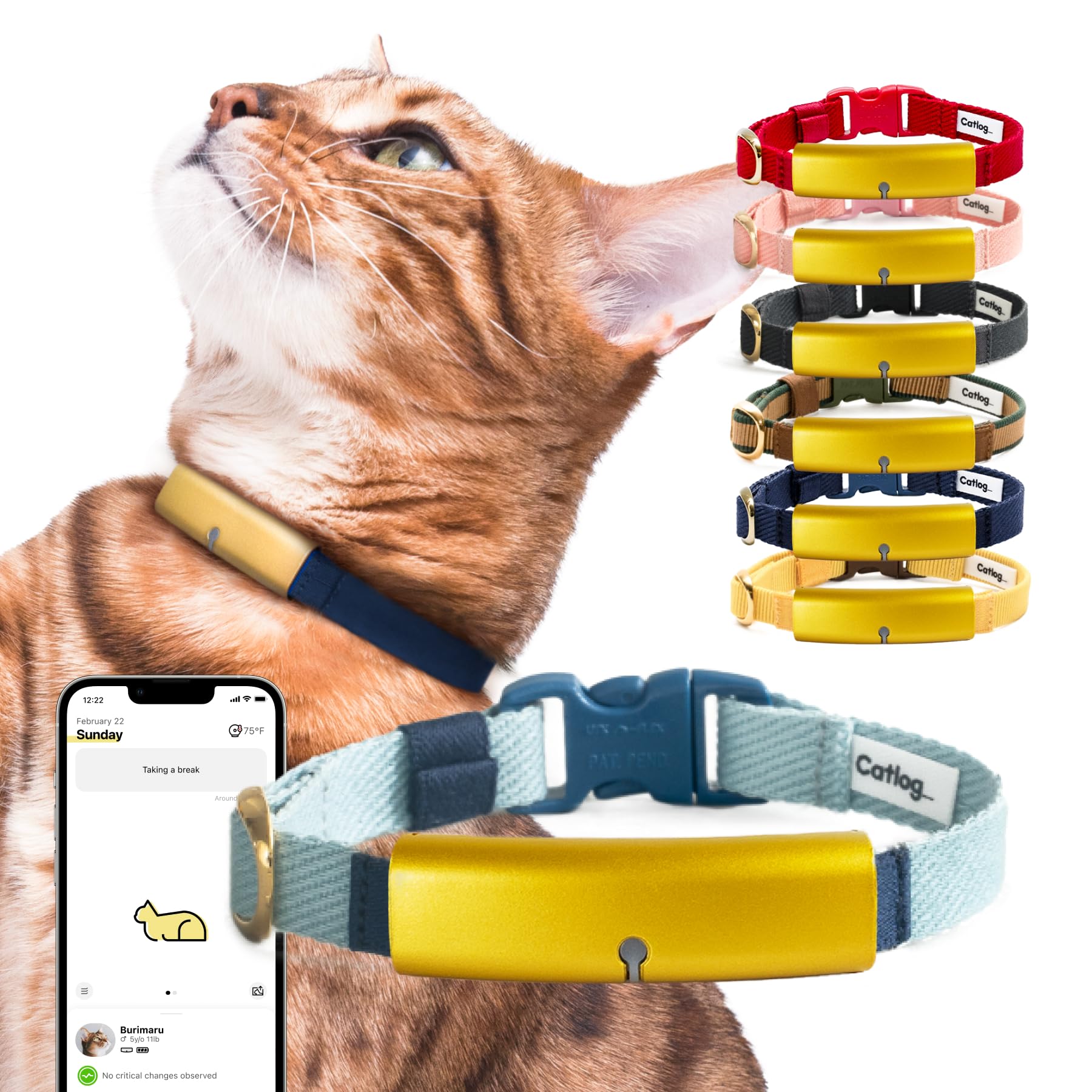 Catlog Health Tracker for Cats - Smart Cat Collar with Safety Breakaway Buckle for Indoor Cats Wellness Alerts Real-time Monitoring (Ice Blue XL)