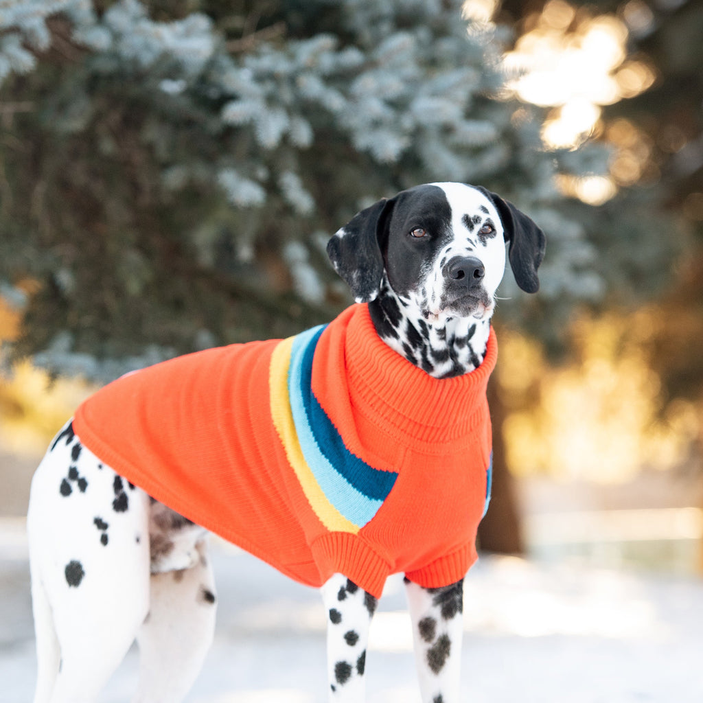 Alpine Sweater - Orange- Dog Sweater