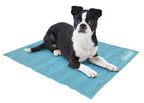 Coleman Comfort Cooling Gel Pet Pad Mat in Small 12x16 For Small Pets (Blue)